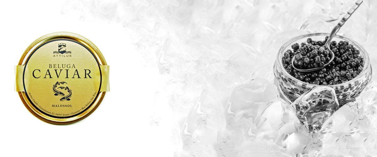 Attilus Beluga Kaviaar