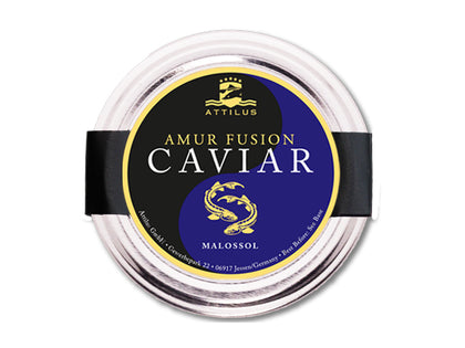 Caviar Fusion Amur (Pasteurisé)